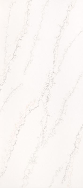 Bianco Angelica